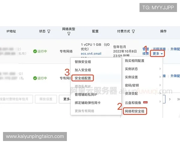 探讨开云网页版安全设置中不可忽视的细节与技巧
