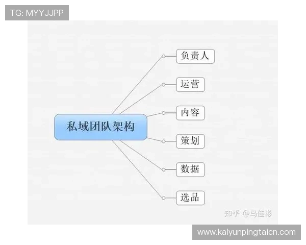 云开集团在海外市场的扩展策略与本土化运营经验分享